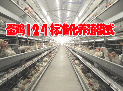 湖北省蛋鸡“124”养殖模式